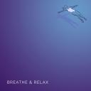 Artwork for Calm Tones