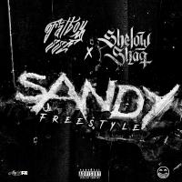 Artwork for Sandy Freestyle (feat. Shelow Shaq) by FatBoy SSE