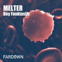 Artwork for Melter by Boy Funktastic