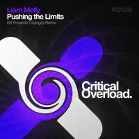 Artwork for Pushing The Limits (G8 presents Changes Remix) by Liam Melly