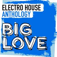 Artwork for Big Love Electro House Anthology by Various Artists