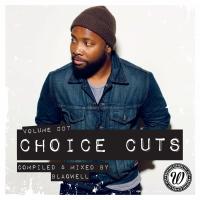 Artwork for Choice Cuts, Vol. 007 Compiled & Mixed By Blaqwell by Various Artists