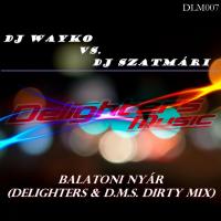 Artwork for Balatoni Nyar (2012) by DJ Wayko