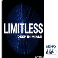 Artwork for Low Deep In Miami by Limitless