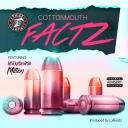 Artwork for Factz (feat. Fa$t Ka$h Na$h & Million)