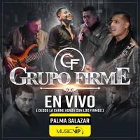 Artwork for Palma Salazar by Grupo Firme