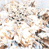 Artwork for Traustr by Giles Appleton