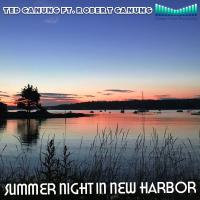 Artwork for Summer Night In New Harbor by Ted Ganung