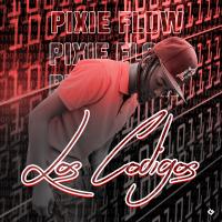 Artwork for Los Codigos by Pixie Flow