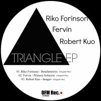 Artwork for Triangle by Riko Forinson