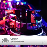 Artwork for Remember by VEKY