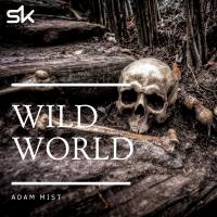 Artwork for Wild World by Adam Mist