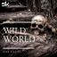 Artwork for Wild World (Original Mix)