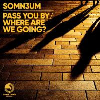 Artwork for Pass You by / Where Are We Going? by Somn3um