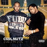 Artwork for Failure Is The Feeling by Cool Nutz