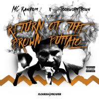 Artwork for Return of the Brown Buffalo by MC Random