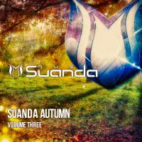 Artwork for Suanda Autumn, Vol. 3 by Various Artists