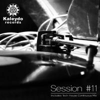 Artwork for Kaleydo Records Session #11 by Various Artists
