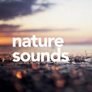 Artwork for Gentle River Sounds (Original Mix)