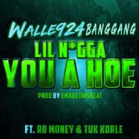 Artwork for Lil Nigga You A Hoe (feat. Ro Money & Tuk Korle) by Walle924BangGang