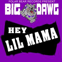 Artwork for Hey Lil Mama by Big Dawg