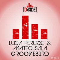 Artwork for Groovebird by Luca Peruzzi