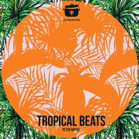 Artwork for Tropical Beats by Peter Native