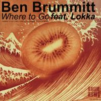 Artwork for Where To Go by Ben Brummitt