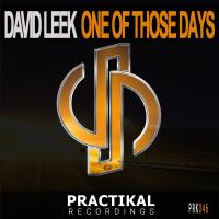 Artwork for One Of Those Days by David Leek