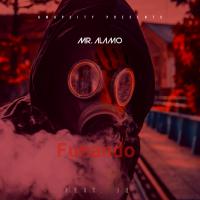 Artwork for Fumando (feat. JQ) by Mr. Alamo