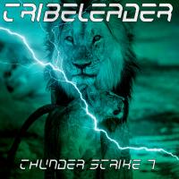 Artwork for THUNDER STRIKE 7 by Tribeleader