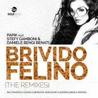 Artwork for Brivido Felino by Papik