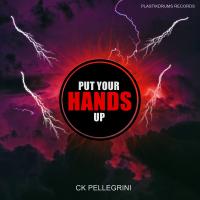 Artwork for Put your Hands Up by Ck Pellegrini