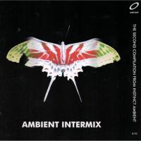 Artwork for Ambient Intermix by Various Artists