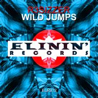 Artwork for Wild Jumps by R3sizzer