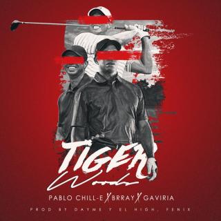 Artwork for Tiger Woods