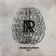 Artwork for Rhino (Original Mix)