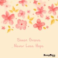 Artwork for Never Lose Hope by Simon Groove