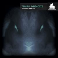 Artwork for Tempo Syndicate by Various Artists