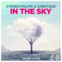 Artwork for In The Sky (Extended Mix)