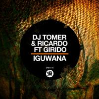 Artwork for Iguwana by DJ Tomer