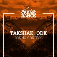 Artwork for Losing Control by Takshak