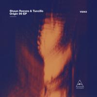 Artwork for Origin 99 EP by Shaun Reeves