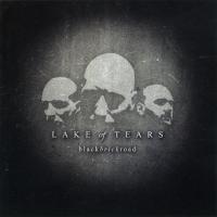 Artwork for Black Brick Road by Lake of Tears