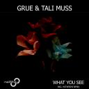 Artwork for What You See (Witness45 Remix)