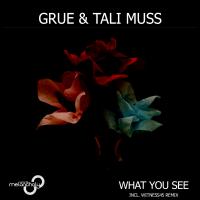 Artwork for What You See by Grue