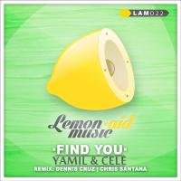 Artwork for Find You by Yamil