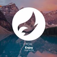 Artwork for Enjoy by Foxi