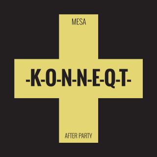 Artwork for After Party