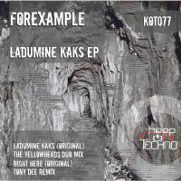 Artwork for Ladumine Kaks EP by Forexample